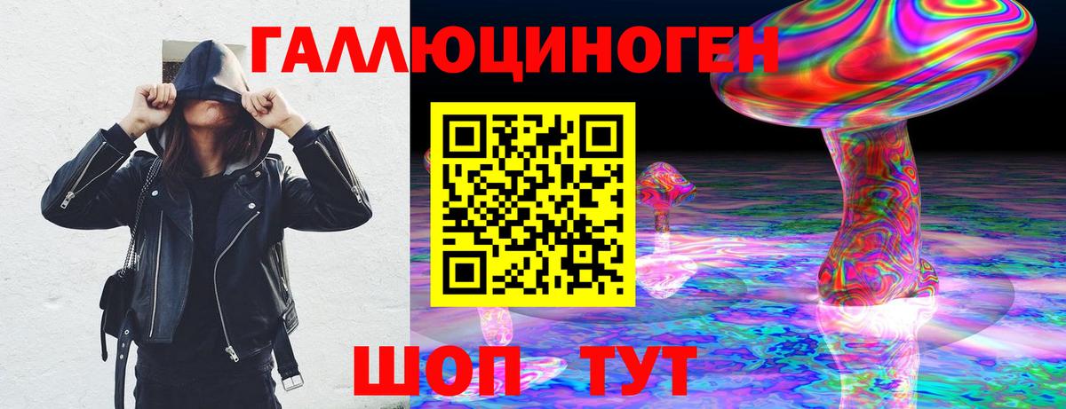 Сергиев Посад  Псилоцибиновые грибы Psilocybine cubensis  Вход с VPN 